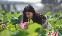 优艳花在线观看,在线观看，揭开神秘花界的奇幻之旅
