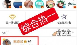 最新博肖爆料屋在线观看,揭秘娱乐圈幕后真相