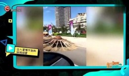 发明家技能爆料视频,视频爆料背后的创新奥秘