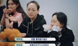 爆料综艺沈心宁视频播放,揭秘幕后故事与精彩瞬间