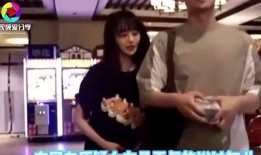 郑爽被张恒爆料视频大全,揭秘娱乐圈背后的真相