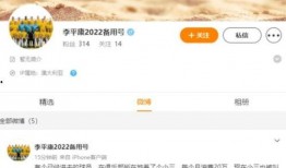 李平康最新爆料视频大全,揭秘背后惊人真相