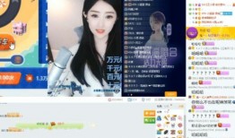 刘小阳爆料视频大全,揭秘娱乐圈幕后真相