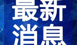 泥潭老哥爆料视频大全最新,揭秘幕后真相，带你领略网络风云