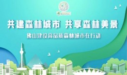 佛山新闻爆料,最新爆料揭示城市动态与民生焦点